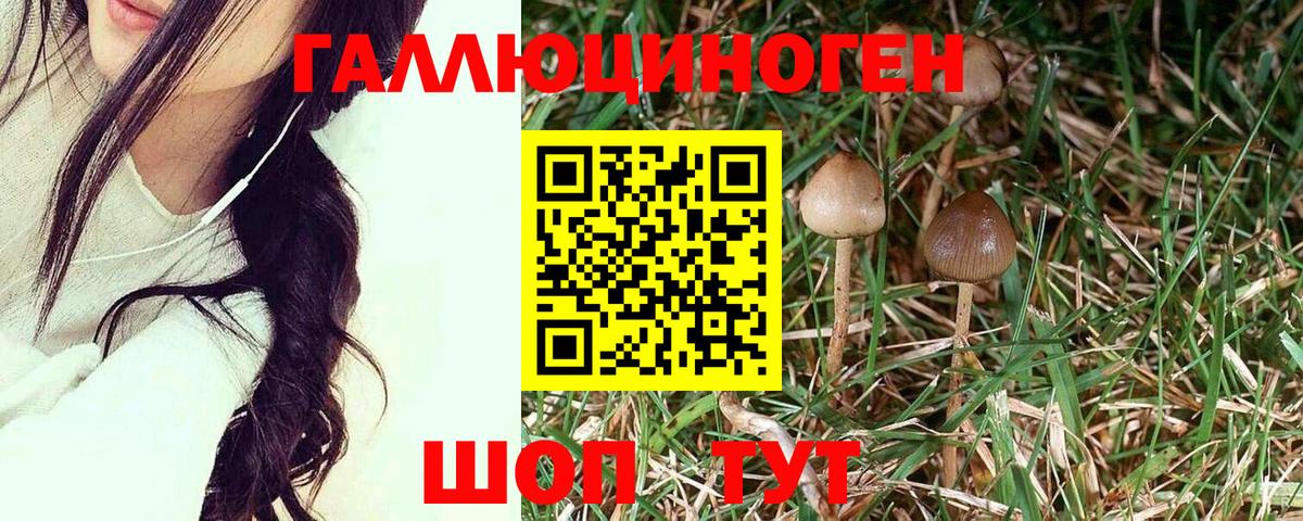 Псилоцибиновые грибы мухоморы Нижний Тагил