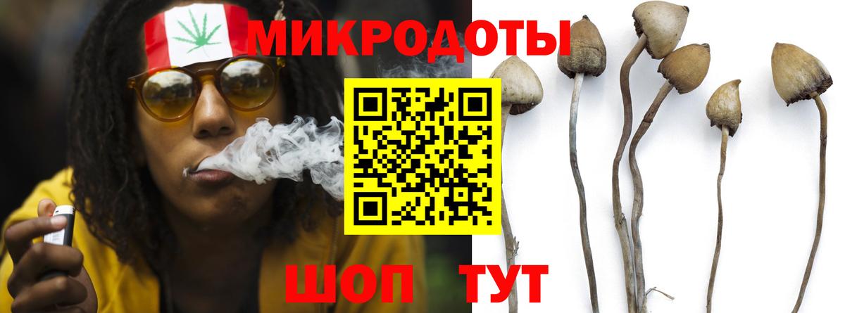 Псилоцибиновые грибы Cubensis  Псилоцибиновые грибы MAGIC MUSHROOMS  Вход с VPN  Нижний Тагил 